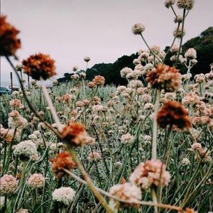 Meet your Posher, Baleigh